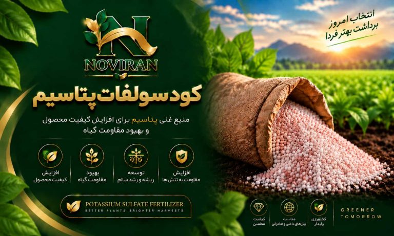 سولفات پتاسیم