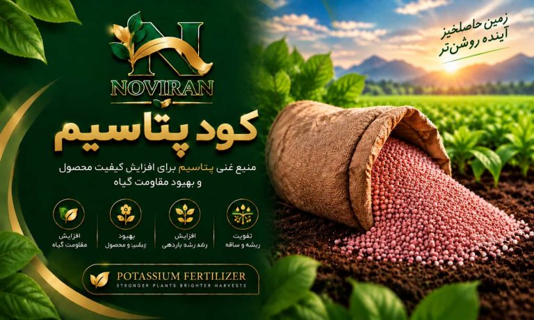 پتاسیم